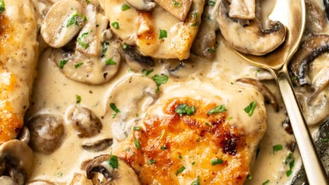 closeup of creamy mushroom chicken with a spoon