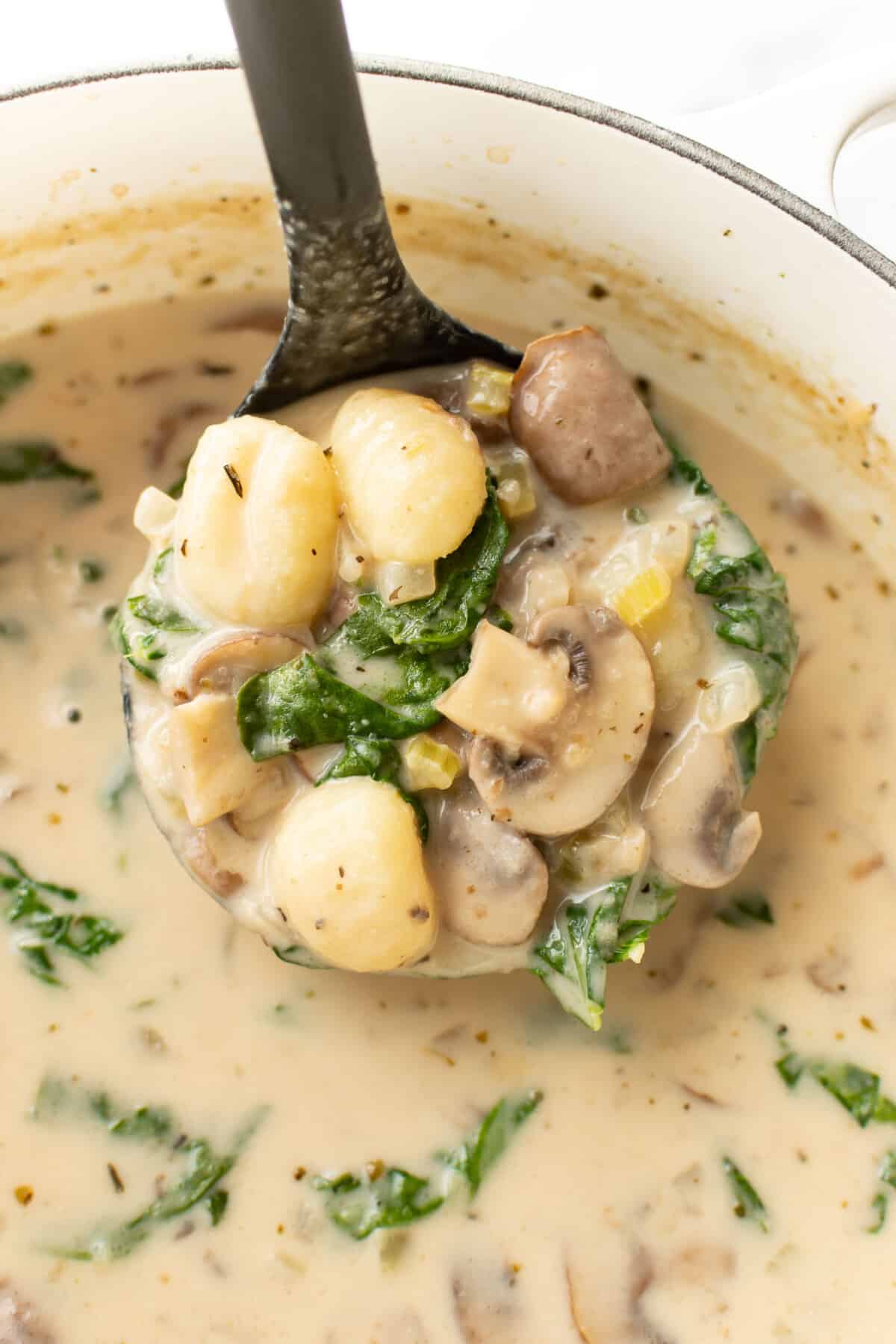 a ladle with parmesan spinach mushroom gnocchi soup