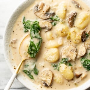 a bowl of mushroom and spinach gnocchi soup with a spoon