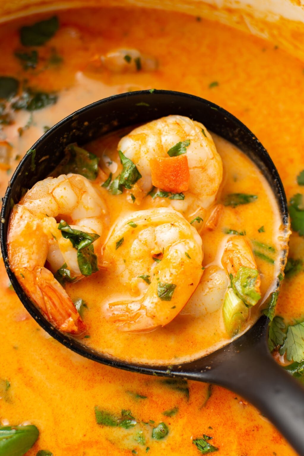 Easy Thai Shrimp Curry • Salt & Lavender