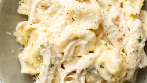 https://www.saltandlavender.com/wp-content/uploads/2019/08/chicken-tortellini-alfredo-6-480x270.jpg