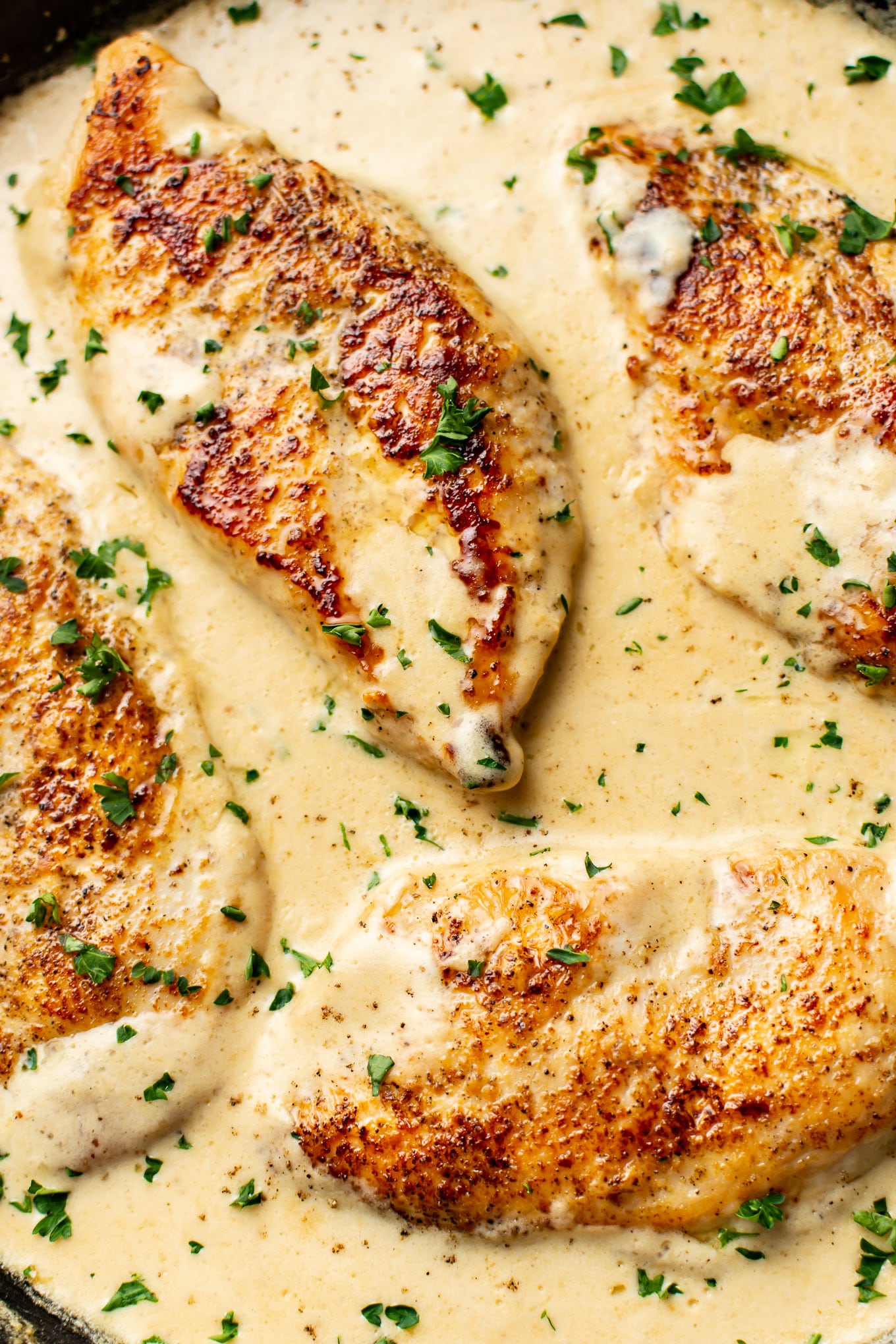 Creamy Garlic Parmesan Chicken • Salt & Lavender