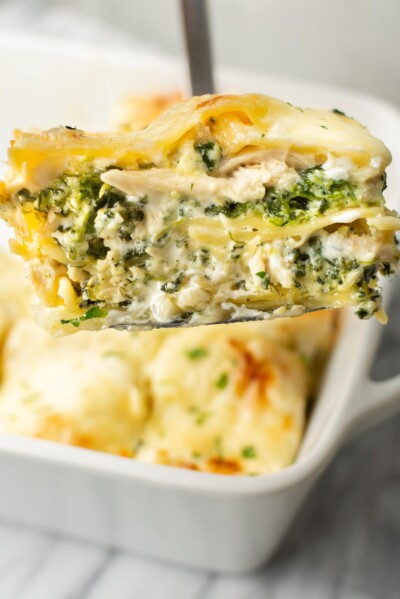 Creamy Chicken Lasagna • Salt & Lavender