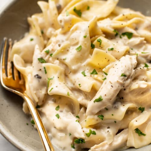 https://www.saltandlavender.com/wp-content/uploads/2022/07/chicken-and-noodles-1-500x500.jpg