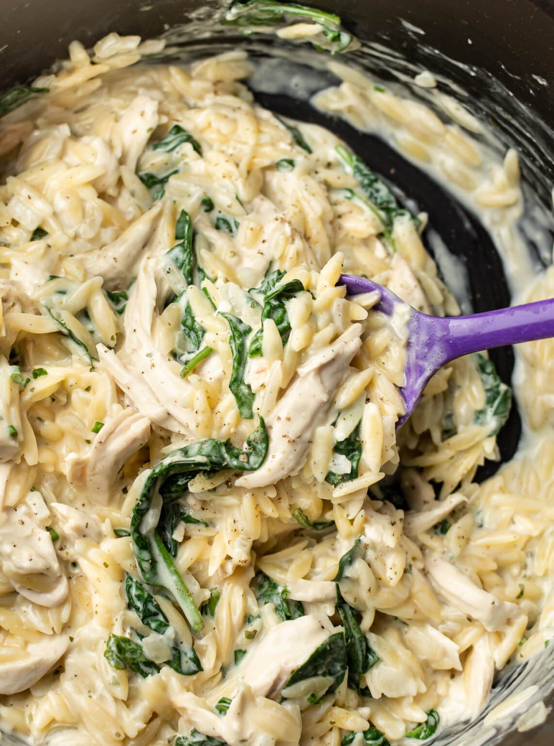 Boursin Orzo With Chicken • Salt And Lavender 5454