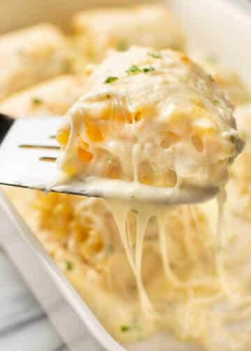 Chicken Alfredo Lasagna Roll Ups • Salt & Lavender