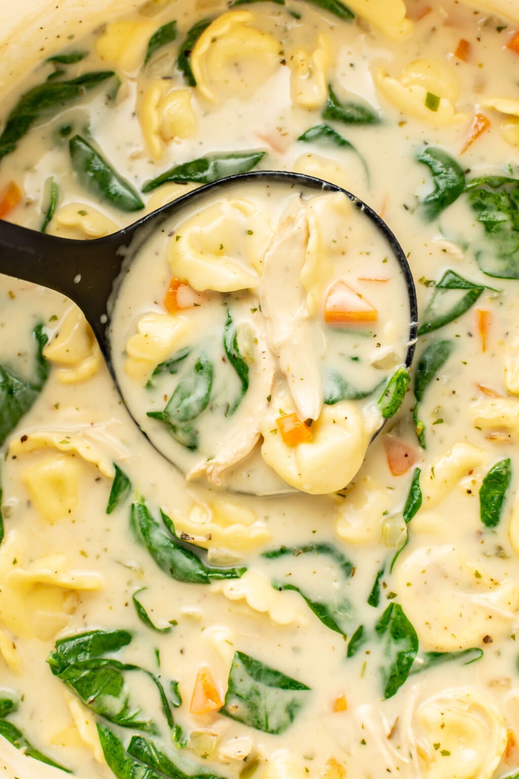 Creamy Lemon Chicken Tortellini Soup • Salt & Lavender