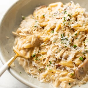 a bowl of chicken marsala orzo with a fork