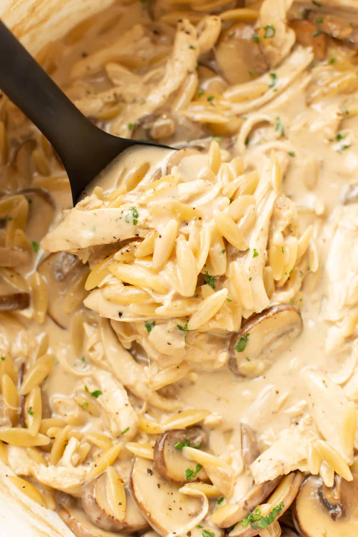 closeup of chicken marsala orzo with a ladle