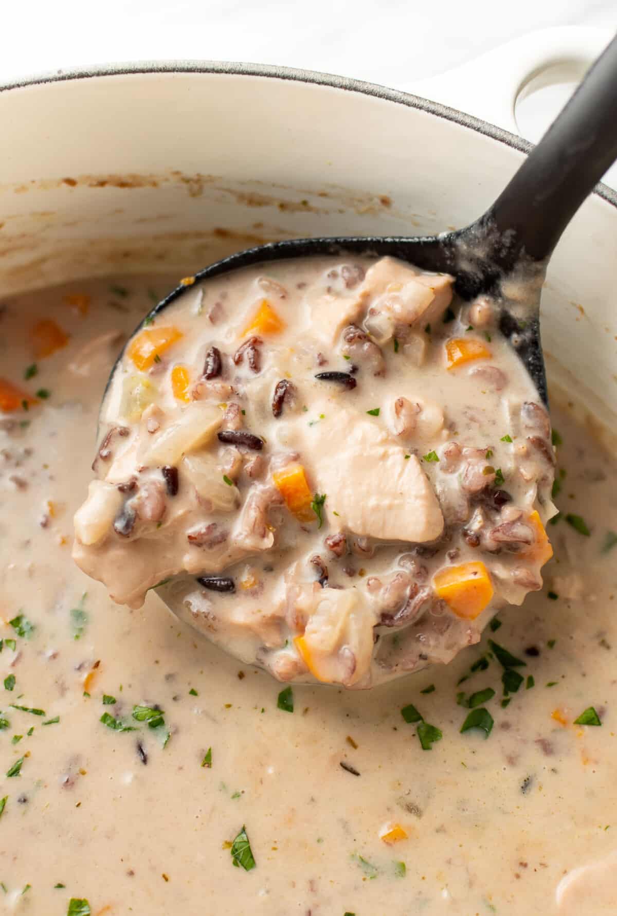 closeup of a pot of chicken and wild rice soup with a ladle