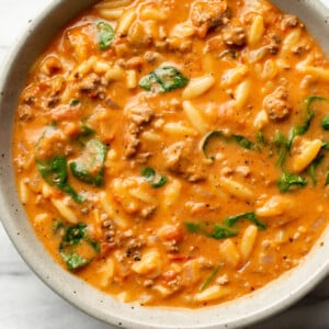 a bowl of hamburger orzo soup