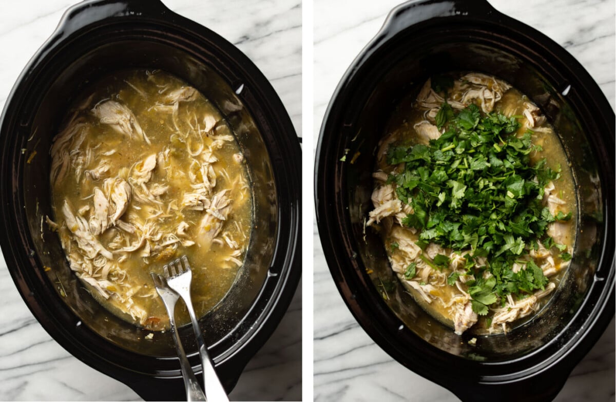 shredding salsa verde chicken in crockpot with two forks and adding cilantro